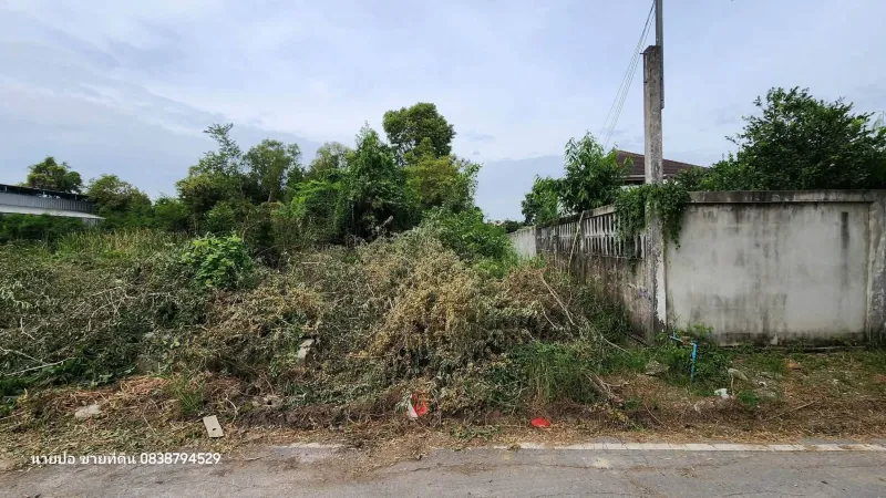 รูปที่5 ต้องการขายที่ดินเปล่า บ้านใหม่ บางใหญ่ ราคา 3,500,000 บาท