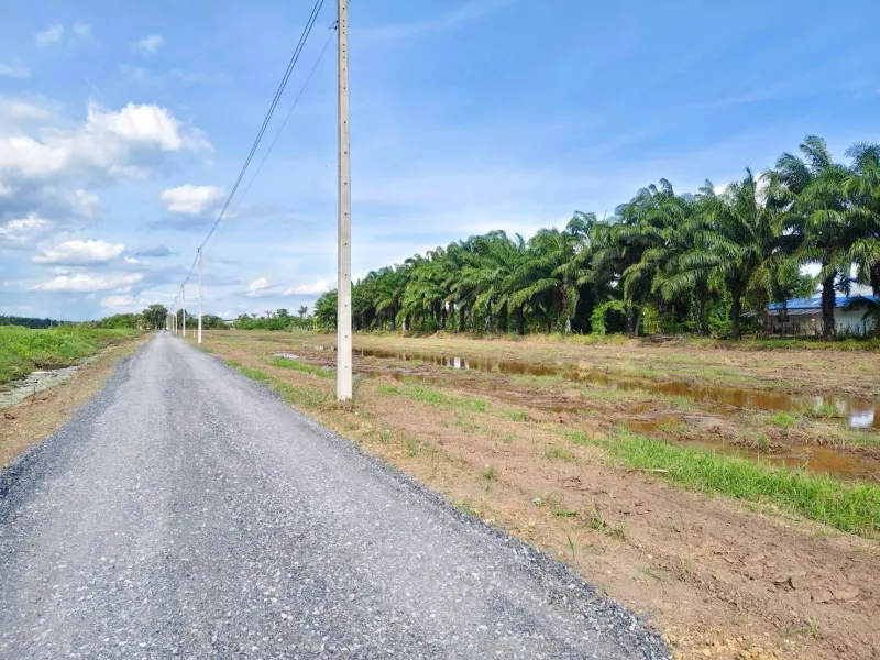 รูปที่6 ต้องการขายที่ดินเปล่า บึงบอน หนองเสือ ราคา 1,690,000 บาท