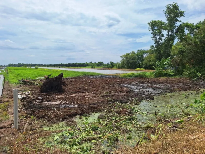 ️ที่ดินสวยเชิงเกษตรและบ้านสวน คลอง 11 อ.หนองเสือ จ.ปทุมธานี เหมาะทำบ้านสวน ที่จอดรถ แปลงเกษตร เกร็งกำไรยะยาว   เนื้อที่ 5 ไร่ 3 งาน 36 ตารางวา ️ราคา 3,387,200 บาท  ️สถานที่ใกล้เคียง️ -วัดป่าคลอง11 500
