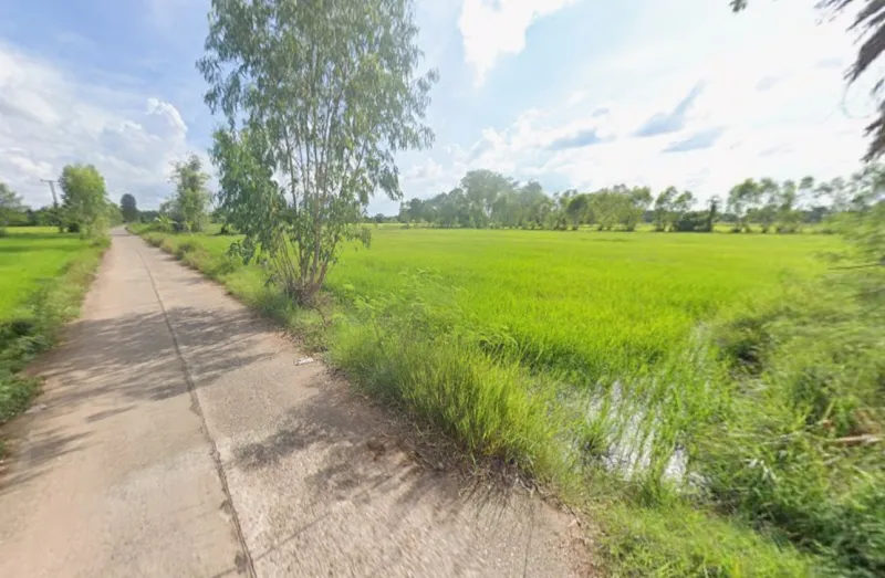 รูปที่5 ต้องการขายที่ดินเปล่า โคกสะอาด ฆ้องชัย  
