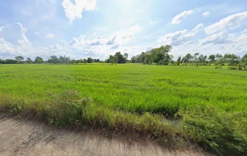 รูปที่6 ต้องการขายที่ดินเปล่า โคกสะอาด ฆ้องชัย  