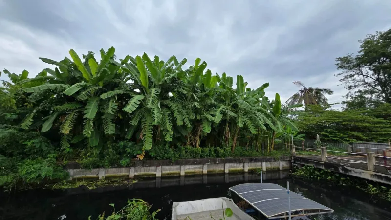 รูปที่3 ต้องการขายที่ดินเปล่า บางรักพัฒนา บางบัวทอง ราคา 84,645,000 บาท