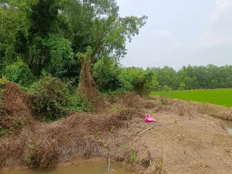 รูปที่5 ต้องการขายที่ดินเปล่า คลองสาม คลองหลวง ราคา 73,646,976 บาท