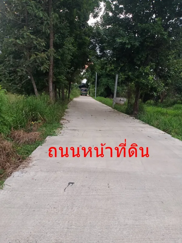 รูปที่4 ต้องการขายที่ดินเปล่า ท่ามะปราง แก่งคอย ราคา 1,400,000 บาท