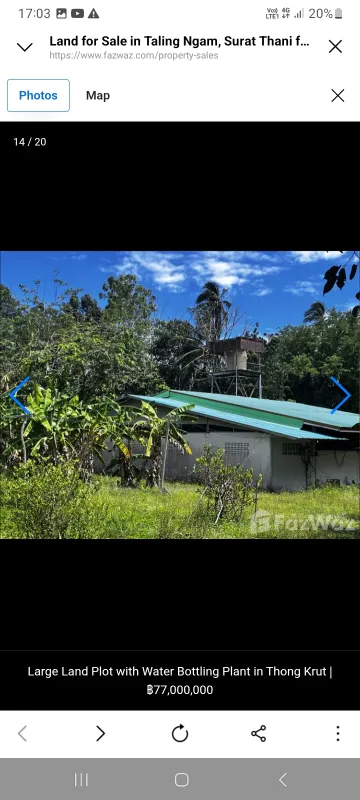 รูปที่6 ต้องการขายบ้านพร้อมที่ดิน ตลิ่งงาม เกาะสมุย ราคา 65,000,000 บาท