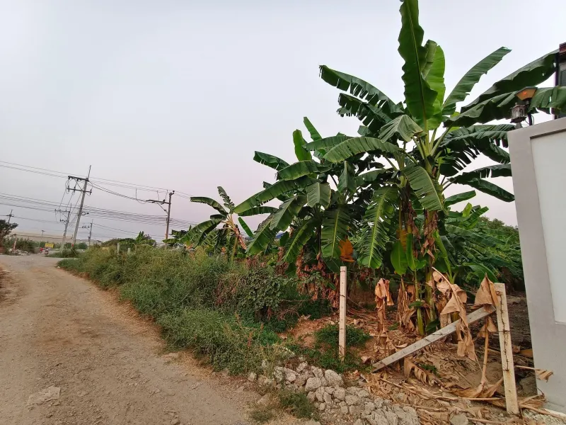 ขายที่ดินปทุมธานีราคาถูก
