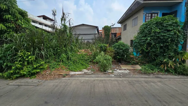 ขายด่วนที่ดิน 50 ตรว ติดถนนคอนกรีต  พุทธมณฑลสาย 4 กระทุ่มแบน สมุทรสาคร