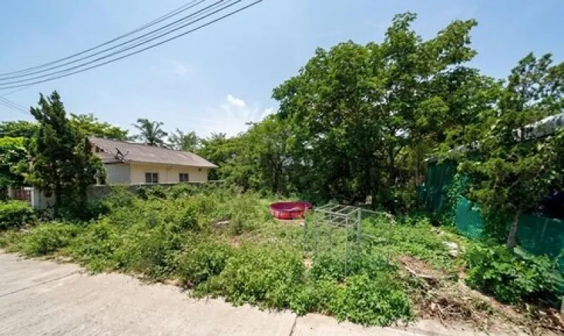 รูปที่3 ต้องการขายที่ดินเปล่า ชมภู สารภี ราคา 1,000,000 บาท