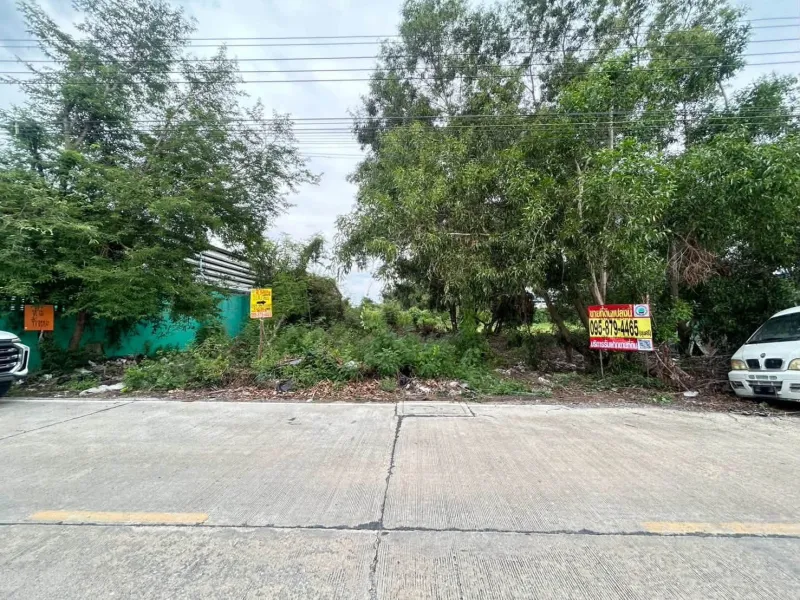 ขายที่ดิน 100 ตรว ติดถนนคอนกรีต ถมแล้ว ซ.หมู่บ้านจิตรัตนา บางบัวทอง นนทบุรี
