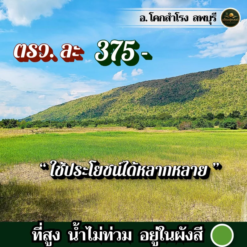 รูปที่3 ต้องการขายที่ดินเปล่า คลองเกตุ โคกสำโรง ราคา 4,312,125 บาท