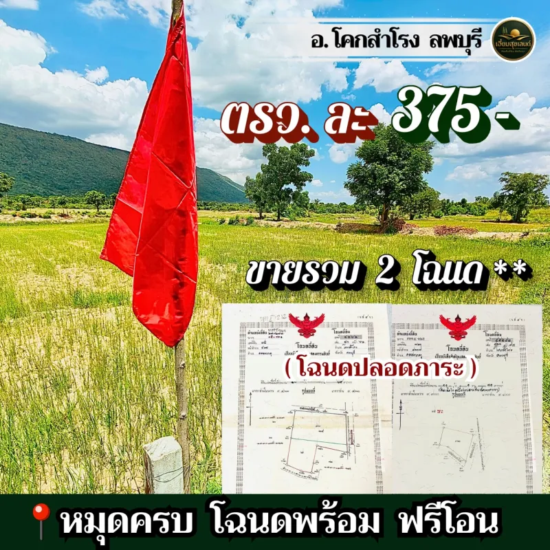 รูปที่4 ต้องการขายที่ดินเปล่า คลองเกตุ โคกสำโรง ราคา 4,312,125 บาท