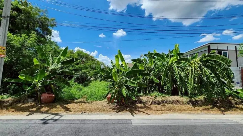 ขายด่วนที่ดิน 102 ตรว ติดถนนคอนกรีต ถมแล้ว ซ.บรมราชชนนี 76 ตลิ่งชัน กทม.