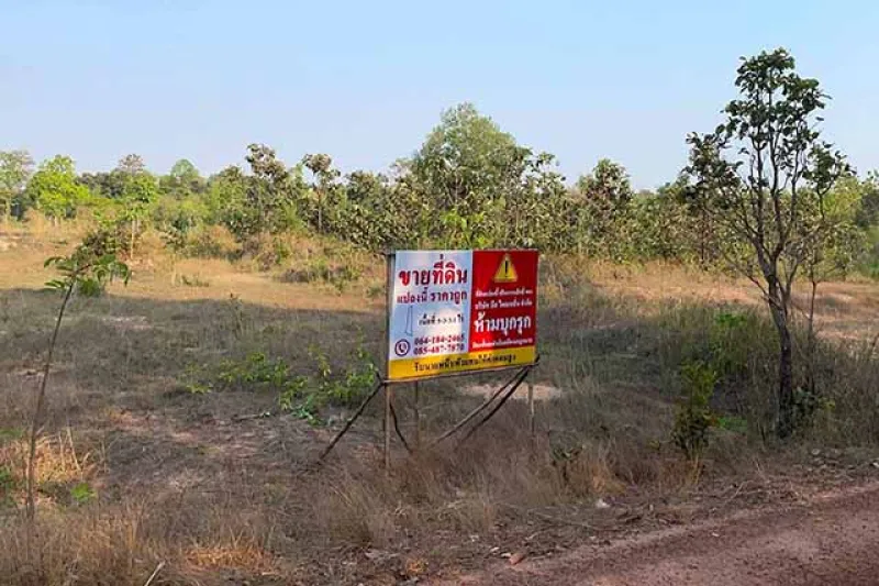 รูปที่2 ต้องการขายที่ดินเปล่า กุดชมภู พิบูลมังสาหาร ราคา 800,000 บาท