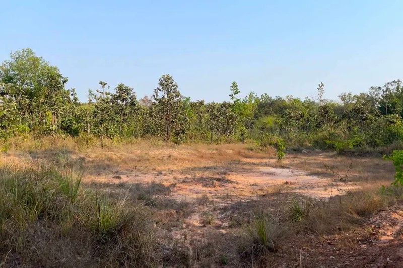 รูปที่3 ต้องการขายที่ดินเปล่า กุดชมภู พิบูลมังสาหาร ราคา 800,000 บาท