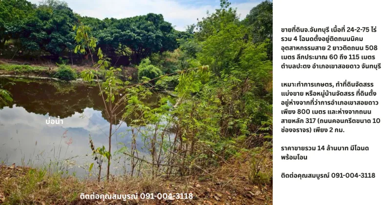 รูปที่3 ต้องการขายที่ดินเปล่า ปะตง สอยดาว ราคา 14,000,000 บาท