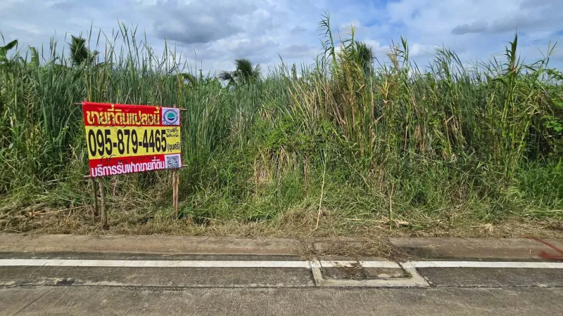 ขายด่วนที่ดิน 96 ตรว ติดถนนคอนกรีตสาธารณะ ซ.นายตึ๋ง บางกรวย นนทบุรี