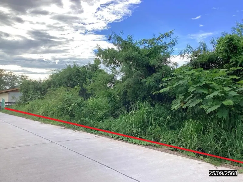 รูปที่5 ต้องการขายที่ดินเปล่า ปากน้ำ เมืองชุมพร  