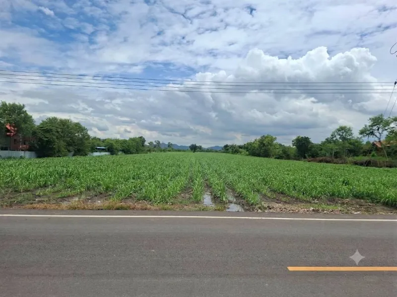 ขายที่ดิน พัฒนานิคม- จังหวัดลพบุรี  ฝั่งขาเข้า กทม.
