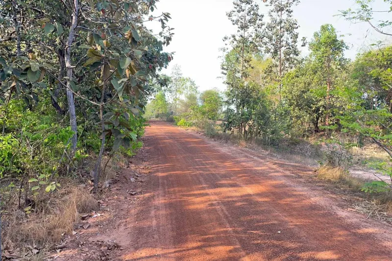 รูปที่5 ต้องการขายที่ดินเปล่า กุดชมภู พิบูลมังสาหาร ราคา 800,000 บาท