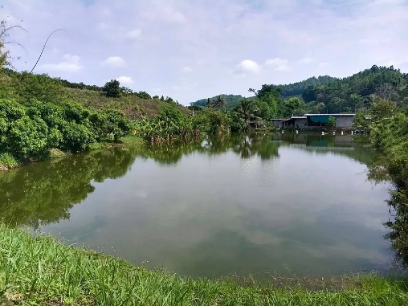 รูปที่3 ต้องการขายบ้านพร้อมที่ดิน แม่ข่า ฝาง ราคา 6,500,000 บาท
