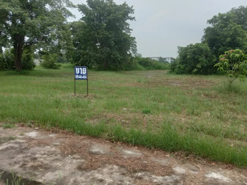 รูปที่2 ต้องการขายที่ดินเปล่า ท้ายเกาะ สามโคก ราคา 7,500,000 บาท