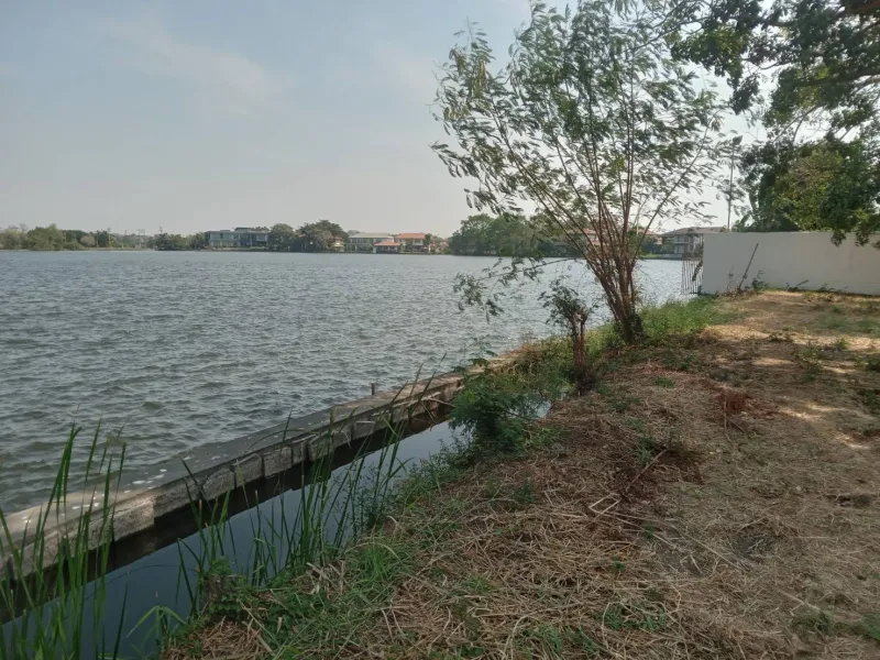 รูปที่4 ต้องการขายที่ดินเปล่า ท้ายเกาะ สามโคก ราคา 7,500,000 บาท