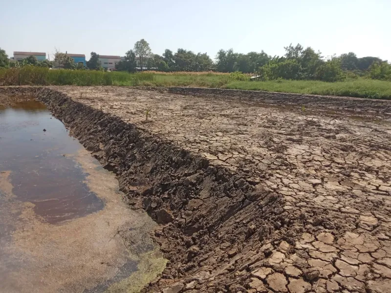 รูปที่5 ต้องการขายที่ดินเปล่า บางปูใหม่ เมืองสมุทรปราการ ราคา 10,000,000 บาท