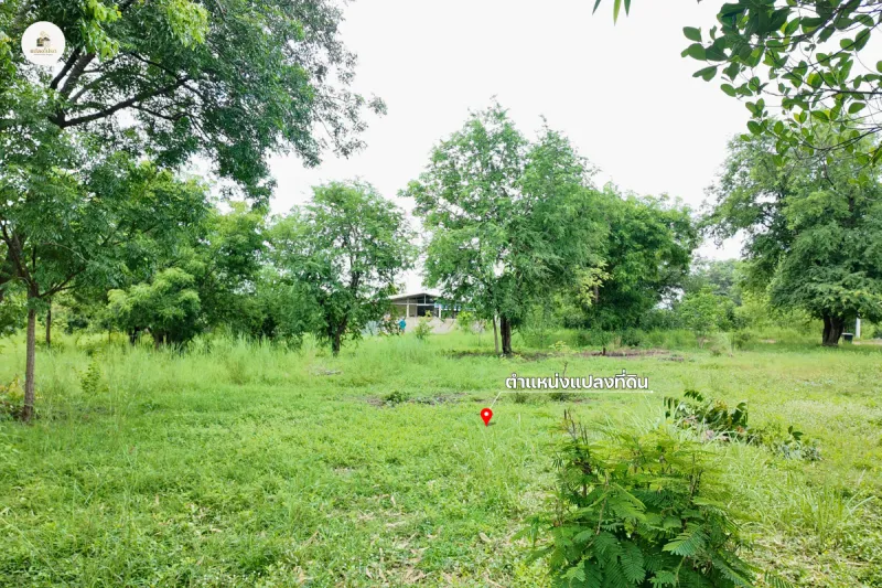 รูปที่4 ต้องการขายบ้านพร้อมที่ดิน วังชมภู เมืองเพชรบูรณ์ ราคา 1,050,000 บาท