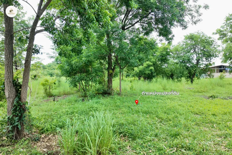 รูปที่5 ต้องการขายบ้านพร้อมที่ดิน วังชมภู เมืองเพชรบูรณ์ ราคา 1,050,000 บาท