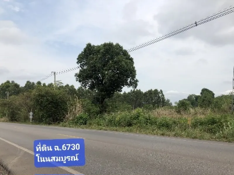 ที่ดินเปล่าติดถนนคอนอุดม - นาสวรรค์ อำเภอเมืองบึงกาฬ
