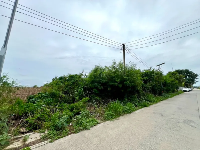 รูปที่2 ต้องการขายที่ดินเปล่า คลองสอง คลองหลวง ราคา 6,980,000 บาท