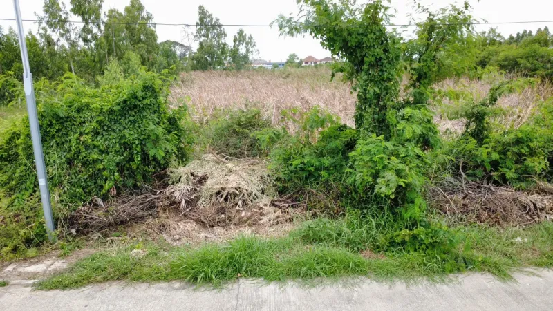 รูปที่5 ต้องการขายที่ดินเปล่า คลองสอง คลองหลวง ราคา 6,980,000 บาท