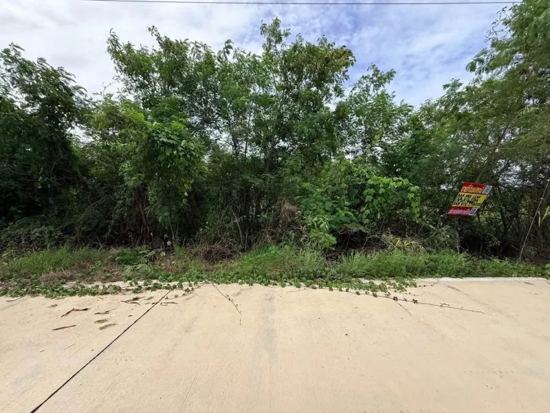 รูปที่2 ต้องการขายที่ดินเปล่า ศาลาครุ หนองเสือ ราคา 850,000 บาท