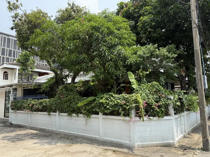 รูปที่2 ต้องการขายบ้านพร้อมที่ดิน สามเสนใน เขตพญาไท ราคา 25,900,000 บาท