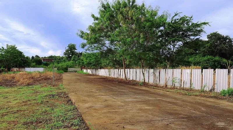 รูปที่5 ต้องการขายบ้านพร้อมที่ดิน เชียงดาว เชียงดาว ราคา 1,890,000 บาท