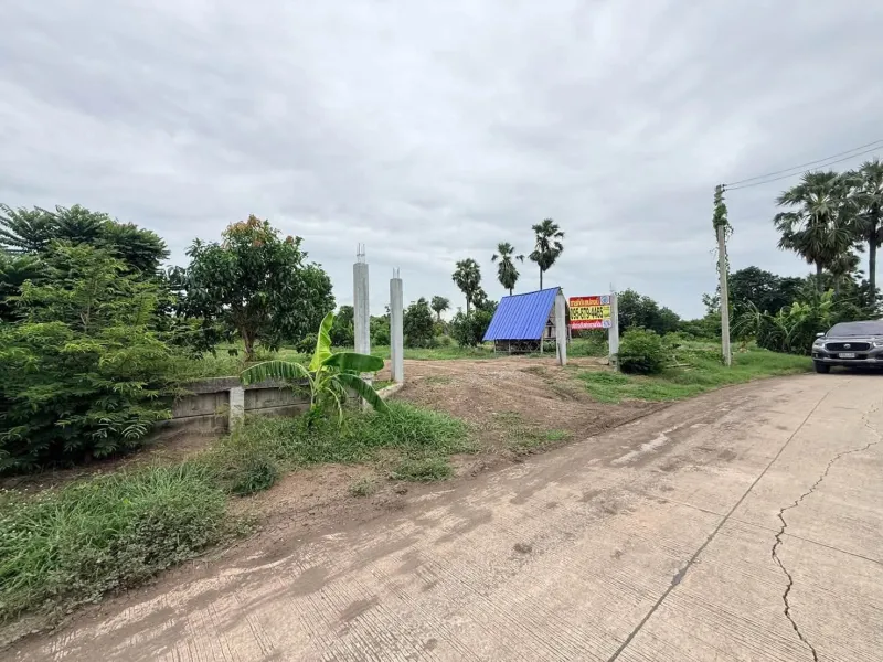 รูปที่2 ต้องการขายที่ดินเปล่า บางเลน บางเลน ราคา 2,500,000 บาท