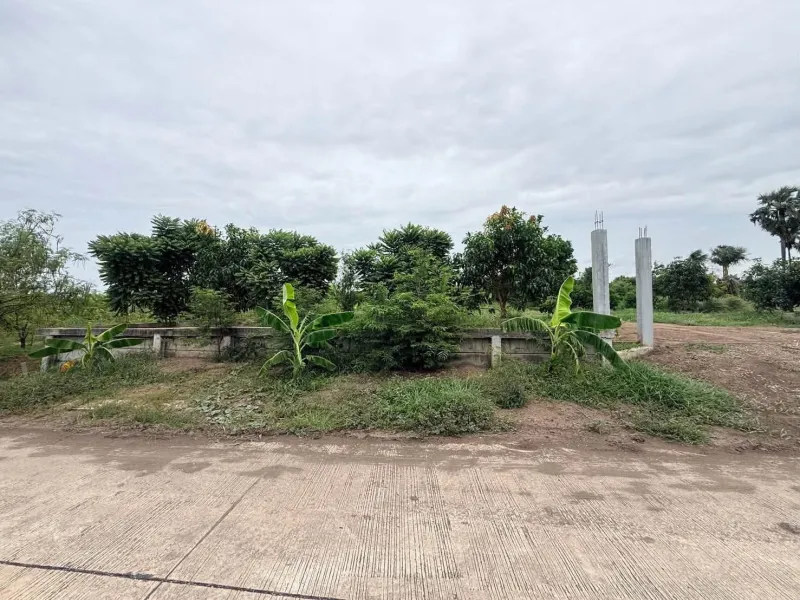 รูปที่3 ต้องการขายที่ดินเปล่า บางเลน บางเลน ราคา 2,500,000 บาท
