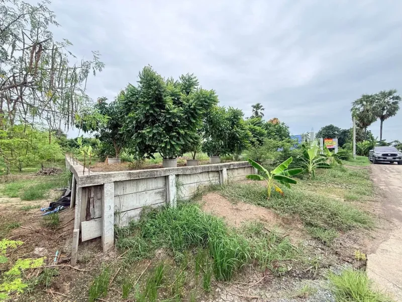 รูปที่7 ต้องการขายที่ดินเปล่า บางเลน บางเลน ราคา 2,500,000 บาท