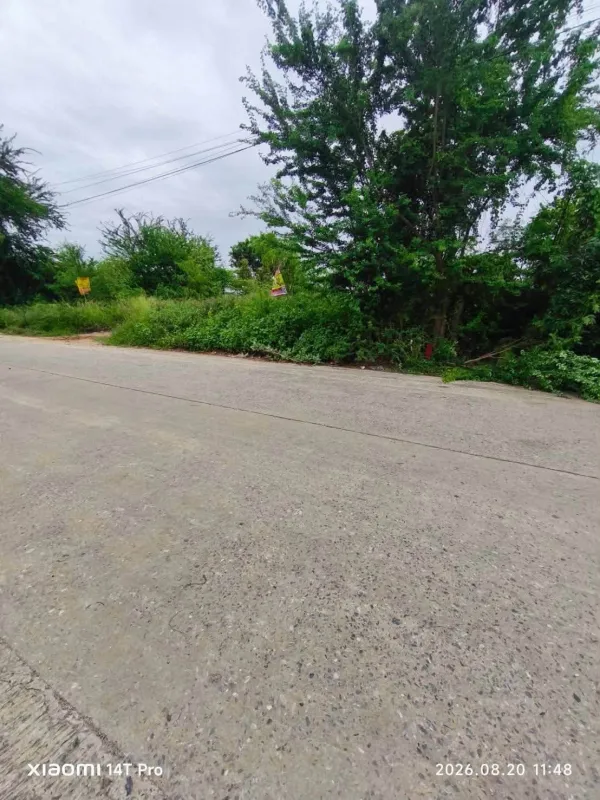 รูปที่5 ต้องการขายที่ดินเปล่า คลองสอง คลองหลวง ราคา 3,655,000 บาท