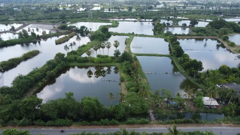 รูปที่3 ต้องการขายที่ดินเปล่า ท่าพระยา นครชัยศรี ราคา 9,900,000 บาท