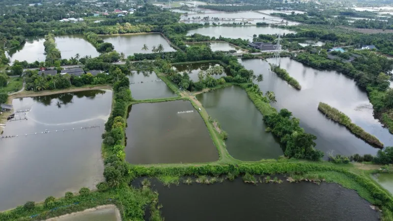รูปที่4 ต้องการขายที่ดินเปล่า ท่าพระยา นครชัยศรี ราคา 9,900,000 บาท