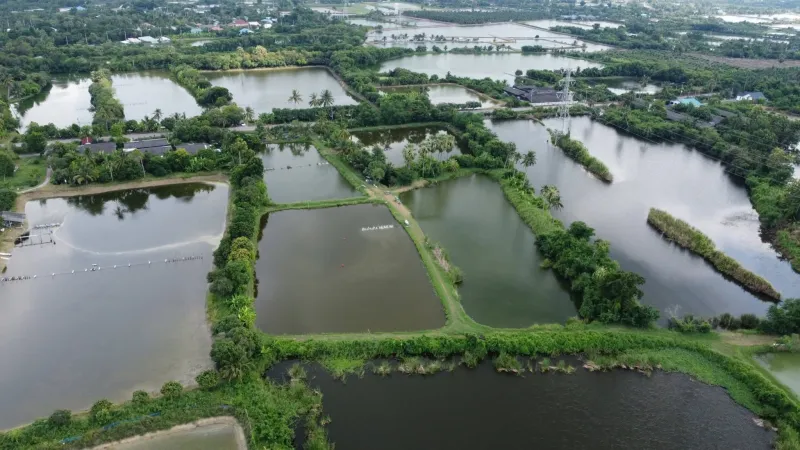รูปที่4 ต้องการขายบ้านพร้อมที่ดิน ท่าพระยา นครชัยศรี ราคา 9,990,000 บาท