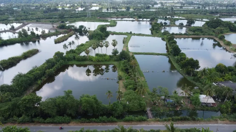 รูปที่6 ต้องการขายบ้านพร้อมที่ดิน ท่าพระยา นครชัยศรี ราคา 9,990,000 บาท