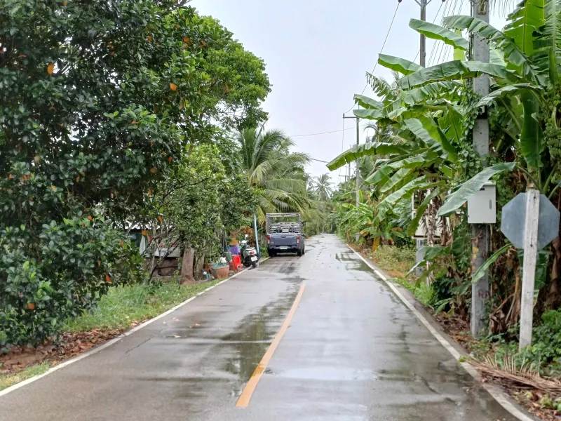 รูปที่2 ต้องการขายที่ดินเปล่า เหมืองใหม่ อัมพวา ราคา 2,800,000 บาท