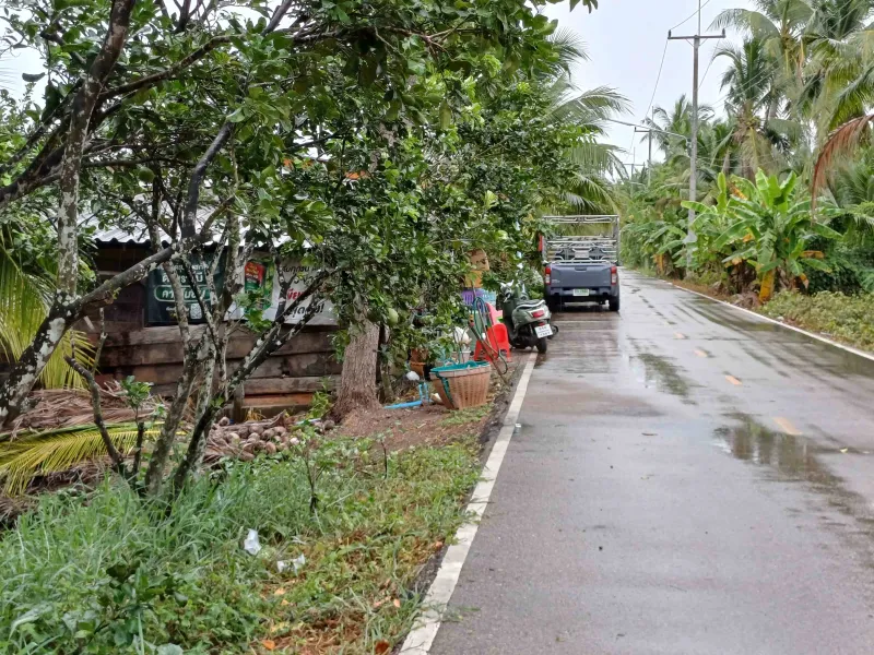 รูปที่3 ต้องการขายที่ดินเปล่า เหมืองใหม่ อัมพวา ราคา 2,800,000 บาท