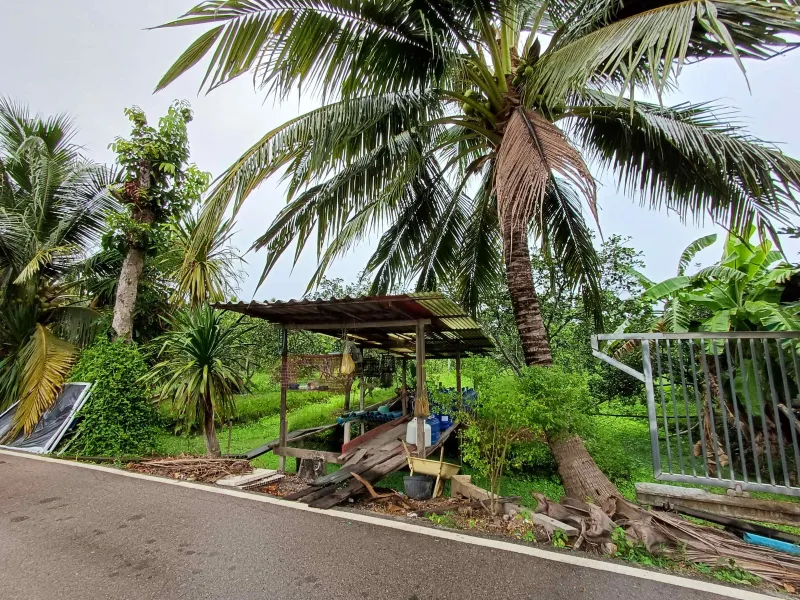 รูปที่4 ต้องการขายที่ดินเปล่า เหมืองใหม่ อัมพวา ราคา 2,800,000 บาท