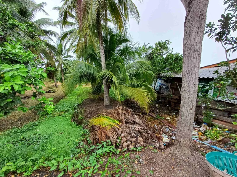 รูปที่5 ต้องการขายที่ดินเปล่า เหมืองใหม่ อัมพวา ราคา 2,800,000 บาท