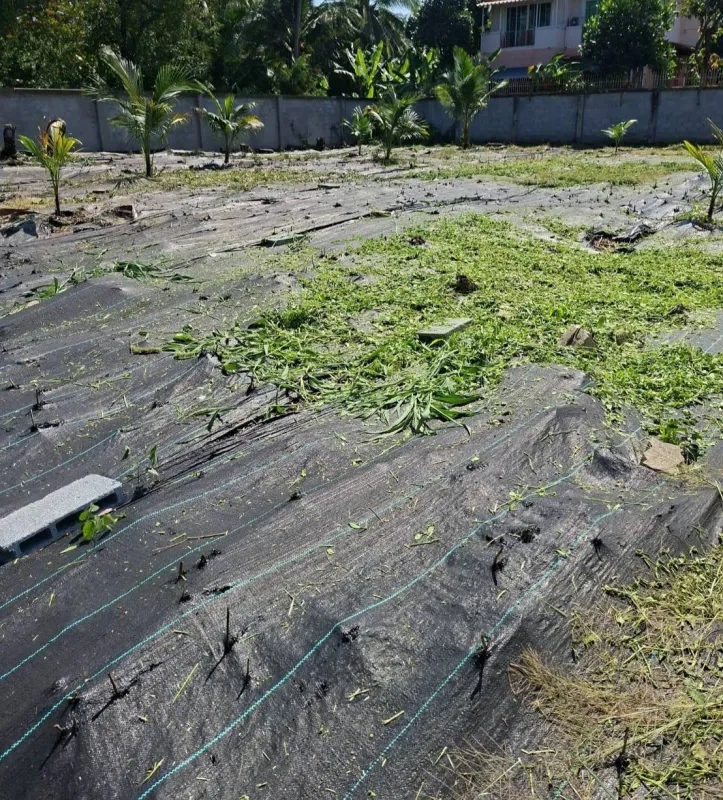 รูปที่5 ต้องการขายที่ดินเปล่า บางแค เขตบางแค ราคา 10,200,000 บาท
