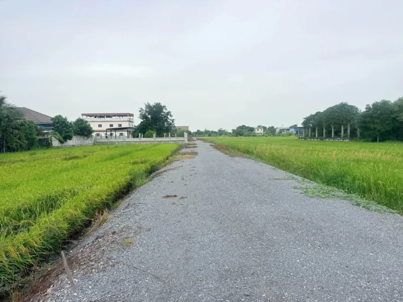 รูปที่2 ต้องการขายที่ดินเปล่า บางใหญ่ บางใหญ่ ราคา 1,500,000 บาท