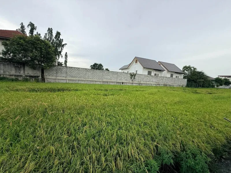 รูปที่3 ต้องการขายที่ดินเปล่า บางใหญ่ บางใหญ่ ราคา 1,500,000 บาท